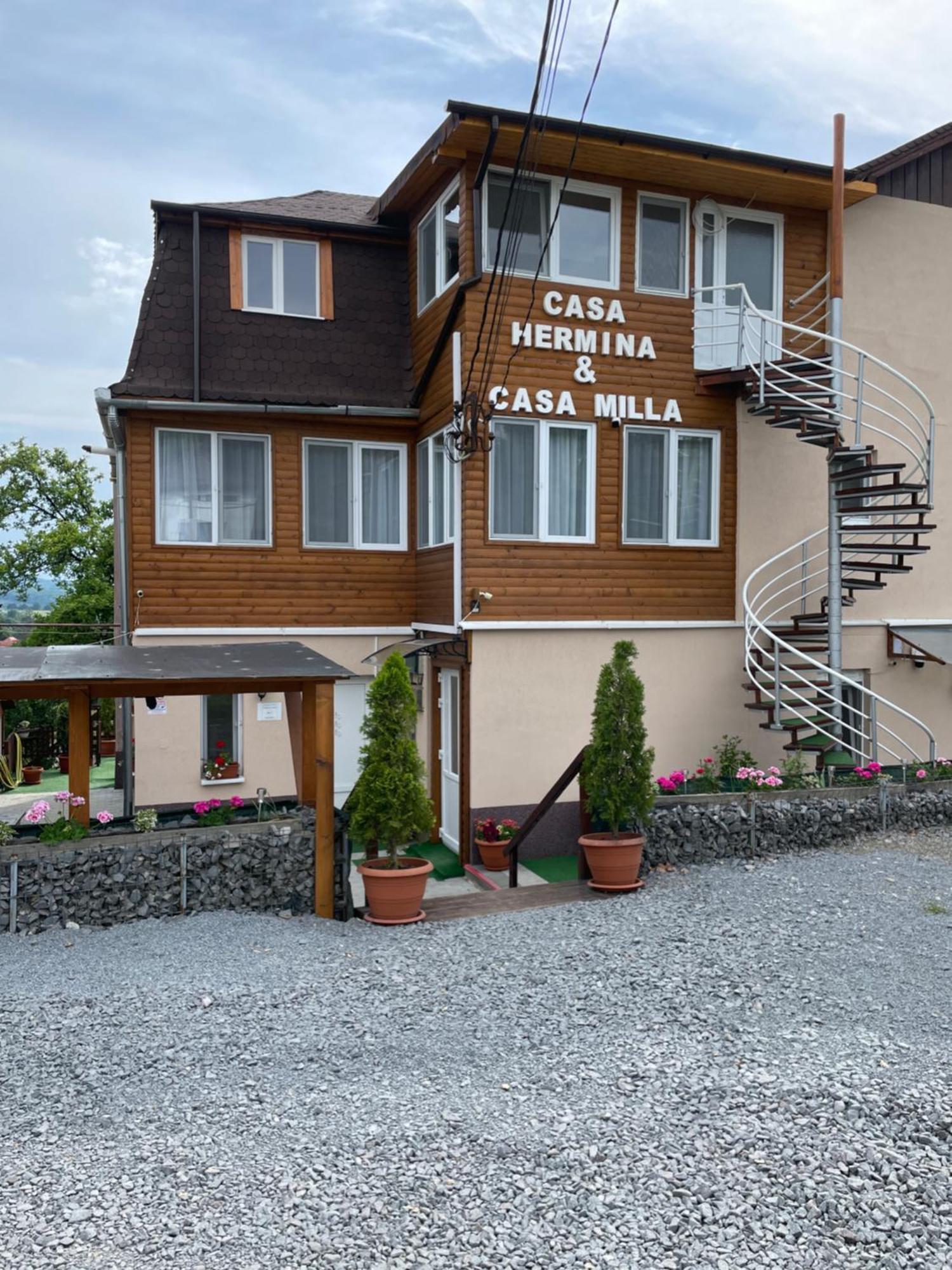 Hotel Casa Milla à Sovata Extérieur photo